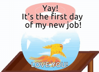Goldfish In Bowl Saying Yay First Day New Job GIF