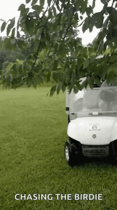 Golf Cart Saying Chasing The Birdie GIF