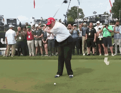Golf Swing No Hit GIF
