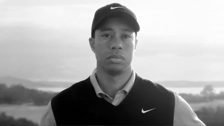 Golfer Tiger Woods Monochromatic Blinking GIF