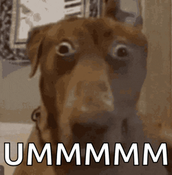 Gomi Gomi Dog Meme GIF