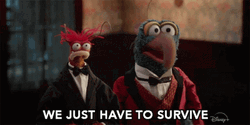 Gonzo The Muppets Just Have To Survive GIF