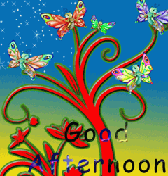 Good Afternoon Butterfly Plant GIF