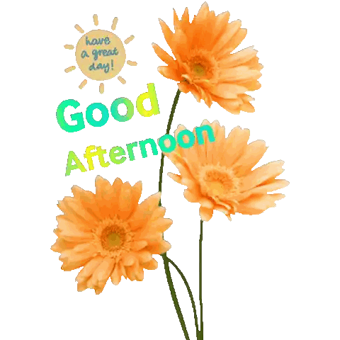 Good Afternoon Flower Card Sticker