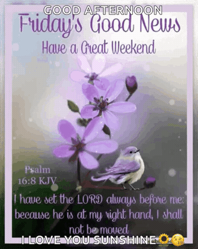 Good Afternoon Friday With Purple Flowers And Bird GIF