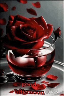 Good Afternoon GIF