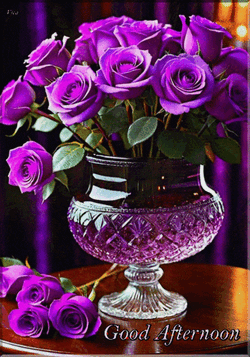 Good Afternoon GIF