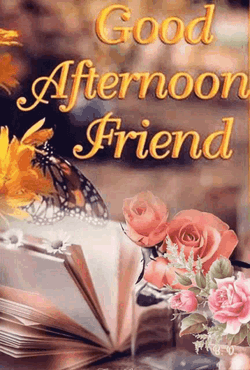 Good Afternoon GIF