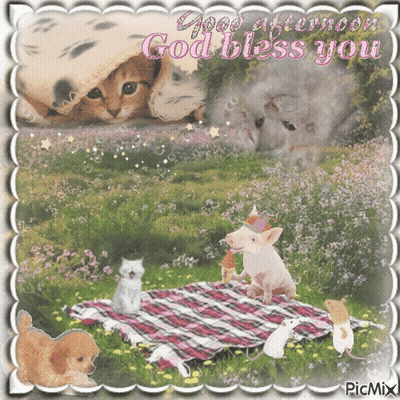 Good Afternoon God Bless You Animals On Blanket GIF