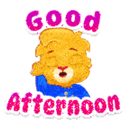 Good Afternoon Good Afternoon Love Sticker GIF