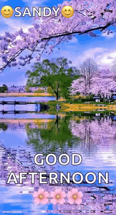 Good Afternoon Greeting Card With Lake And Cherry Blossoms GIF
