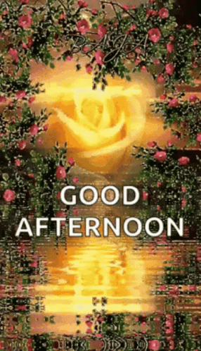 Good Afternoon Greeting With Yellow Rose GIF