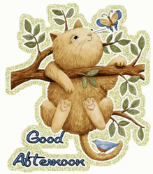 Good Afternoon Hanging Sparkling Cat GIF