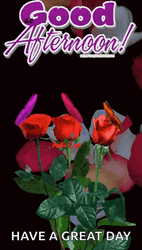 Good Afternoon Happy Monday Falling Petals GIF
