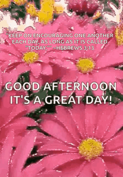 Good Afternoon Happy Monday Pink Carnation GIF