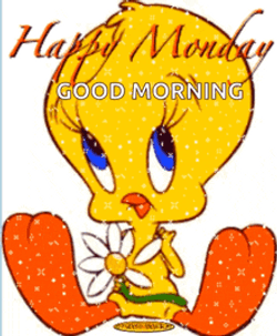 Good Afternoon Happy Monday Shy Tweety Bird GIF