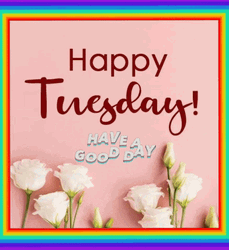 Good Afternoon Happy Tuesday Animated Art GIF