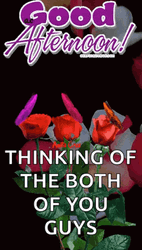 Good Afternoon Happy Tuesday Falling Petals GIF