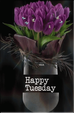 Good Afternoon Happy Tuesday Purple Flowers GIF