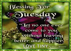 Good Afternoon Happy Tuesday Shimmering Green Art GIF
