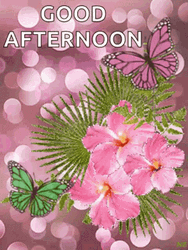 Good Afternoon Happy Tuesday Shimmering Pink Bloom GIF