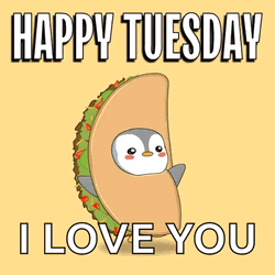 Good Afternoon Happy Tuesday Taco Penguin GIF