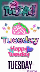 Good Afternoon Happy Tuesday Various Text Designs GIF