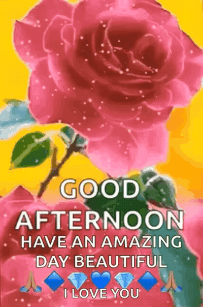 Good Afternoon Have An Amazing Day Beautiful I Love You GIF
