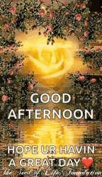 Good Afternoon Hope Havin Great Day GIF