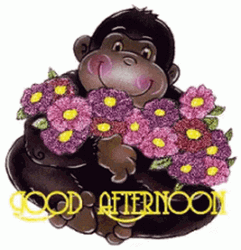 Good Afternoon Monkey With Flowers GIF