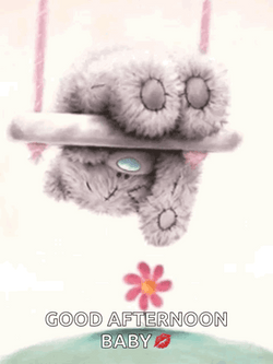 Good Afternoon My Love Bear On Swing GIF