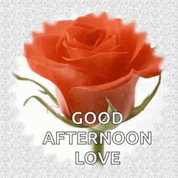 Good Afternoon My Love Peach Flower GIF