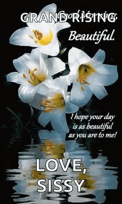 Good Afternoon Niece Monday Blessings Flowers Watering Can GIF