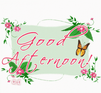 Good Afternoon Sign With Flowers And Butterfly GIF