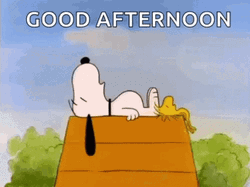 Good Afternoon Snoring Snoopy GIF
