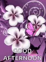 Good Afternoon Sparkling Flowers Purple Butterfly GIF