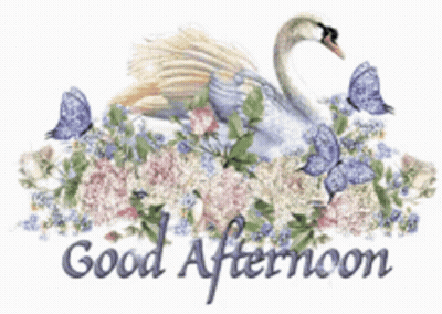 Good Afternoon Swan With Flowers And Butterflies GIF
