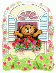 Good Afternoon Wednesday Bear GIF