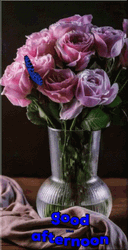 Good Afternoon Wednesday Blue Butterfly GIF