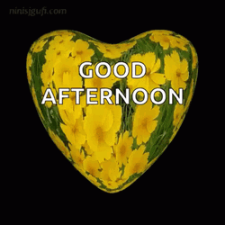 Good Afternoon Wednesday Heart GIF