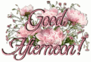 Good Afternoon Wednesday Sparkling GIF
