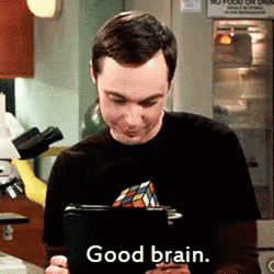 Good Brain Sheldon GIF
