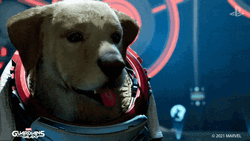 Good Dog Panting Space Suit GIF