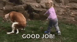 Good Dog Pooping Kid Tapping Good Job GIF