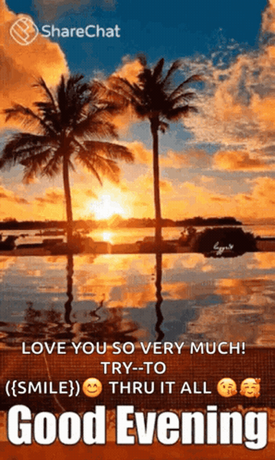 Good Evening Message With Sunset And Palm Trees GIF