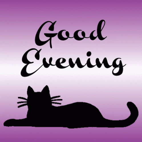Good Evening Text And Black Cat Silhouette GIF