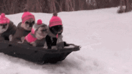 Good Excited GIF