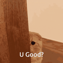 Good For You Cat Sneak GIF