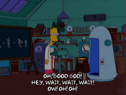 Good God Professor Frink GIF