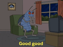 Good God Scary Arsonist Beetle GIF